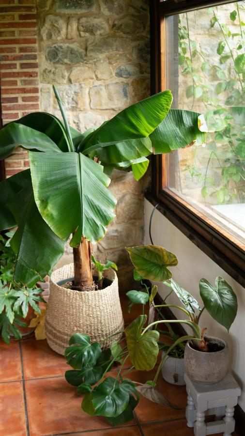 Casa 'Ohana Rioturbio Kültér fotó